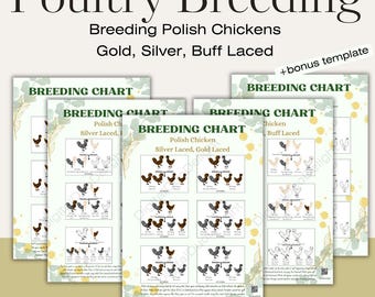 Gold Silver Buff Laced Polish Breeding charts, Poultry color posters genetics linkage Chickens Pedigree outcomes
