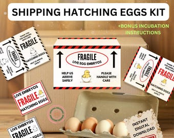 Fragile stickers shipping hatching fertile eggs printable digital download file unlimited prints. Incubation fertilized eggs instructions