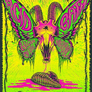 May include: A neon green and pink concert poster with a skull and butterfly wing design. The text "Acid Bath" is on the wings, and "High on Fire" is below. The date "September 13 Syracuse, NY" is at the bottom, with "Sharkey's Pavilion" below.
