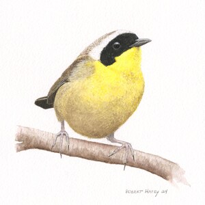 This fine art giclee print of a Common Yellowthroat was made using an original watercolor painting that I created.