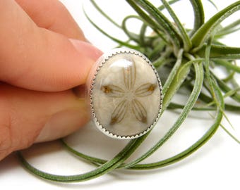 Little Fossilized Sand Dollar Silver Ring No. 2