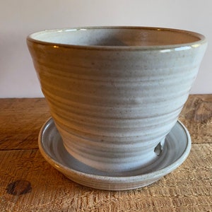 May include: A white ceramic planter with a saucer, featuring a textured, swirl design. The planter has drainage holes in the bottom.