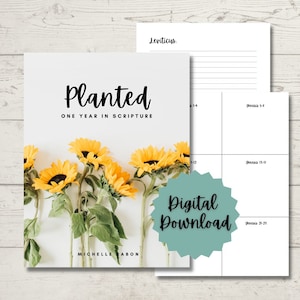 One Year Bible Reading Plan Journal PDF