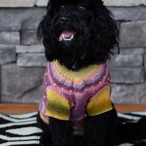 May include: A black dog wearing a colorful knitted sweater. The sweater features a pattern of pink, yellow, and purple hues. The dog is sitting on a black and white patterned rug, with a stone wall in the background.
