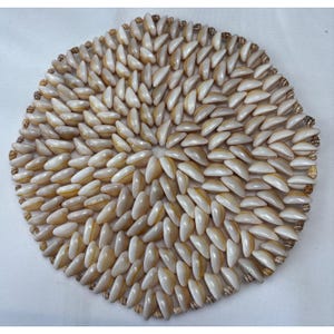 May include: A circular trivet or mat constructed from numerous small, polished white and cream-colored seashells arranged in a concentric, radiating pattern. The outer edge is finished with a border of tiny, speckled brown and tan shells.