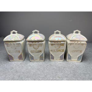 Vintage German Iridescent Porcelain Spice Jar Set 1920s