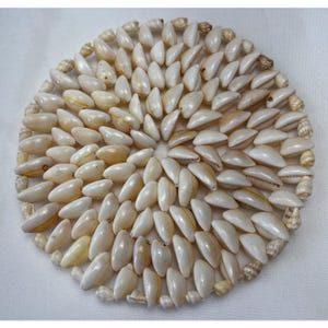 May include: Round coaster made of numerous small, white seashells. The shells are arranged in a circular pattern, with the larger shells forming the main design and smaller shells outlining the edge. The coaster has a natural, organic aesthetic.