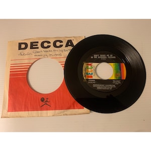 Peppermint Rainbow &quot;Dont Wake Me Up In The Morning Michael&quot; 45 RPM Vinyl Record Decca 1960s