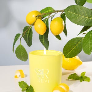 Amalfikaars - Citrusgefluister langs de kust | Mediterraans geïnspireerde kaars | Met de hand gegoten sojawas | Kustgeur voor woondecoratie