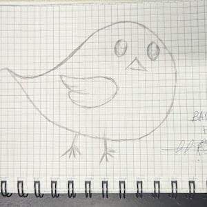 Drawings for kids