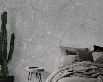 Concrete Texture Wallpaper Grey Industrial Mural Modern Wall Paper Peel Stick Removable Stone Effect