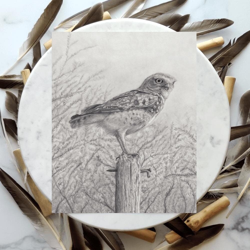 Observer - 8x10″ Owl Pencil Drawing Art Print - Etsy