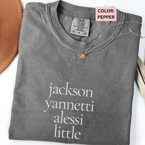 Free Karen Read Comfort Colors Tee: True Crime Justice Shirt