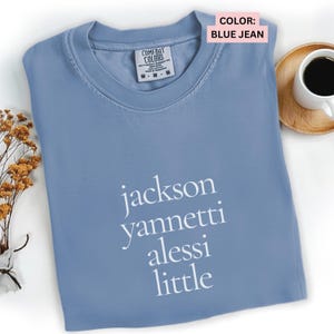 Free Karen Read Comfort Colors Tee: True Crime Justice Shirt