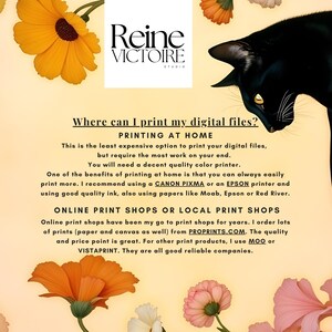 Puede incluir: Impresi&oacute;n de arte digital con el texto "&iquest;D&oacute;nde puedo imprimir mis archivos digitales?" y el logotipo de Reine Victoire Studio. La imagen presenta un gato negro, flores y recomendaciones de impresi&oacute;n.