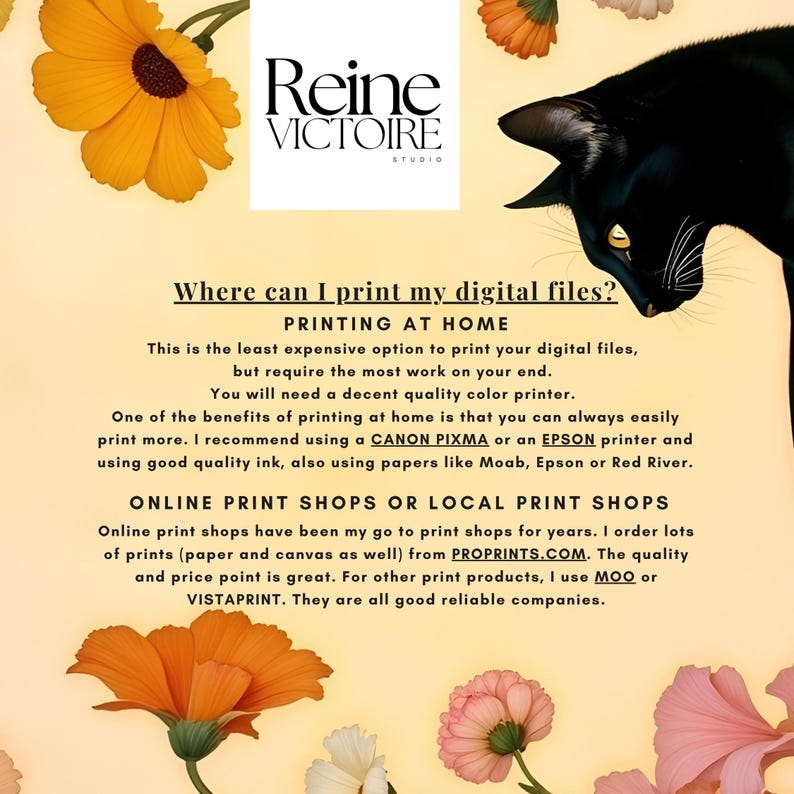 Puede incluir: Impresi&oacute;n de arte digital con el texto "&iquest;D&oacute;nde puedo imprimir mis archivos digitales?" y el logotipo de Reine Victoire Studio. La imagen presenta un gato negro, flores y recomendaciones de impresi&oacute;n.