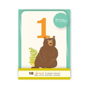 Woodland Counting tarjetas flash / Set de 10 / decoración de la pared del vivero