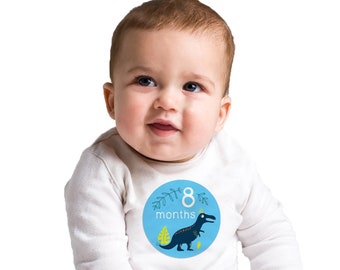 Dinosaur Milestone Stickers