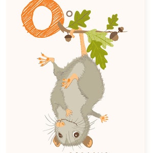 ABC-Wand-Kunst, O ist für Opossum, ABC-Karte, Alphabet-Flash-Karten, Kinderzimmer-Wand-Dekor für Kinder