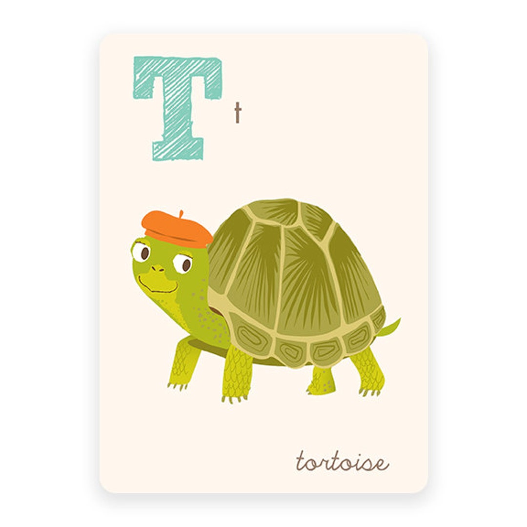 ABC Card T is for Tortoise ABC Wall Art Alphabet Flash - Etsy UK