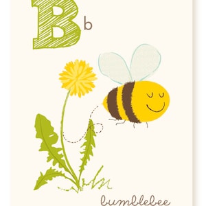 Carta ABC - B è per - Uccello, Orso, Bumblebee, cirripedi