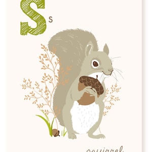 ABC card, S is for Squirrel, ABC wall art, alphabet flash cards, nursery wall decor for kids image 1