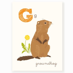 ABC Wall art, ABC karty, G jest dla, Groundhog, alfabet Flash Cards, dekoracje ścienne przedszkola dla dzieci