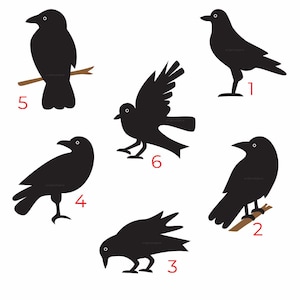 以下が含まれることがあります： 白い背景に配置された6羽の黒い鳥のシルエット。それぞれに1から6までの赤い数字が付けられています。鳥は立っている姿、茶色の枝にとまっている姿、翼を広げて飛んでいる姿など、さまざまなポーズで描かれています。