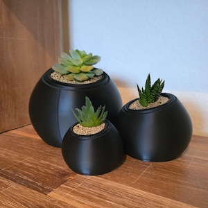Può includere: Tre vasi neri sferici di diverse dimensioni, ognuno con una pianta succulenta. I vasi sono su una superficie di legno. Il vaso più grande ha una succulenta verde chiaro, quello medio ha una piccola succulenta verde e il più piccolo ha una succulenta verde.