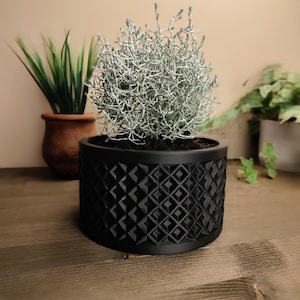 Op de afbeelding: Een zwarte bloempot met een geometrisch ruitpatroon, met een zilvergroene plant. De pot staat op een houten oppervlak, met andere planten op de achtergrond. Het patroon is herhaald.