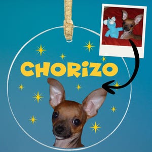 Personalized Pet Ornament, Cute Acrylic Christmas Ornament Gift for Dog Lovers, Cat Lover, Custom Photo Ornament, Personalized Name Ornament