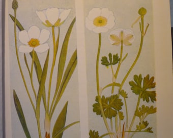Remoncule Alps 1967 vintage print | Small  Alpine Flower Print | Vibrant Spring pick me up | Floral Garden print | Ready to Frame
