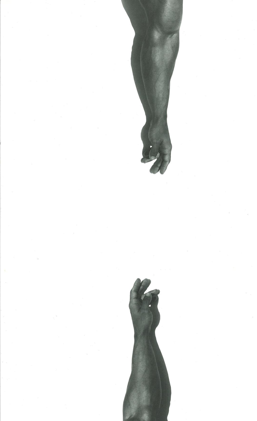 Herb Ritts, Hands Arms, the Male Form Modern Photography Black and