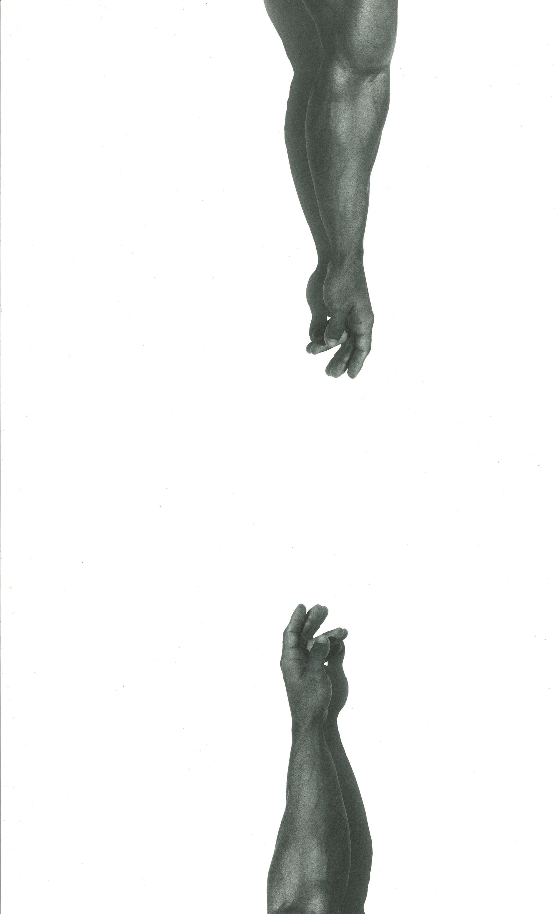 Herb Ritts, Hands Arms, the Male Form Modern Photography Black and