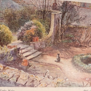 Puede incluir: Pintura a la acuarela de una escena de jardín con escalones de piedra, un gato y varias plantas. La imagen incluye un muro de piedra en primer plano y un tronco de árbol. El texto "Garden at Tenby, Wales" y "April, 1900" son visibles.