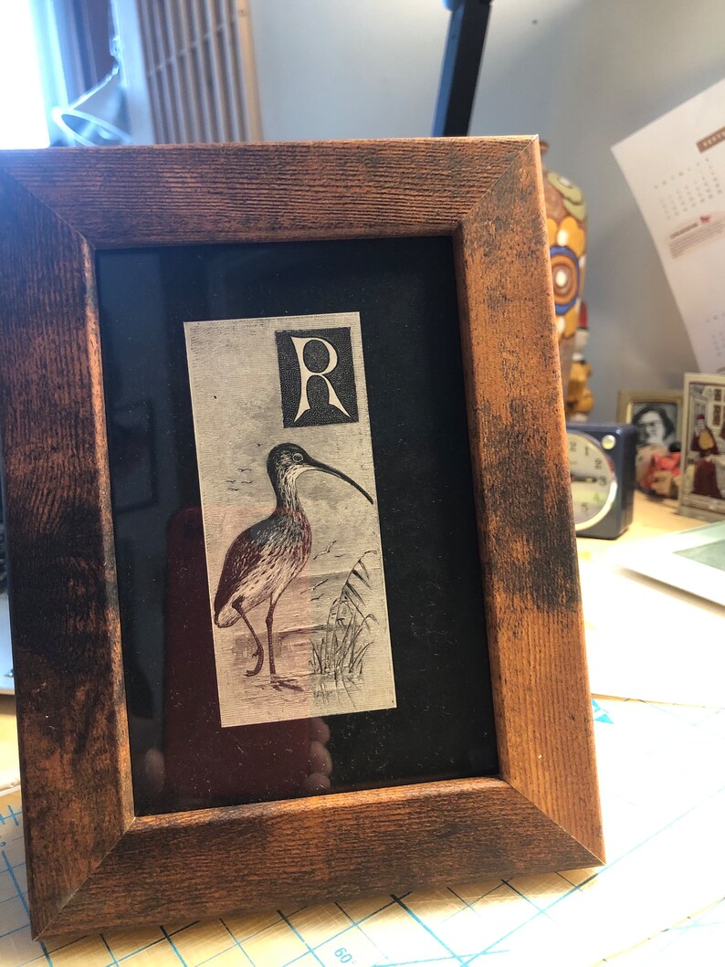 Letter R Monogram Alphabet Woodcut by A Thornburn with Curlew Framed Antique Original print Published Lithograph Rare image 4