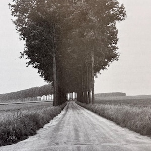 Henri Cartier-Bresson | Brie France | Black and White | Vintage Published Lithograph | Ready to Frame | Wall Art