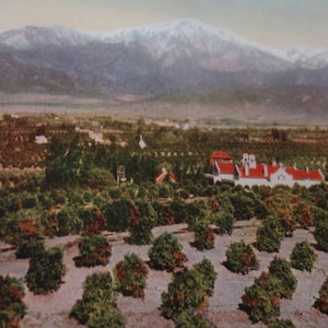 Redlands California Vue de Smiley Heights The Santa Fe Trail - 1914 Fred Harvey impression couleur Scène du sud-ouest américain