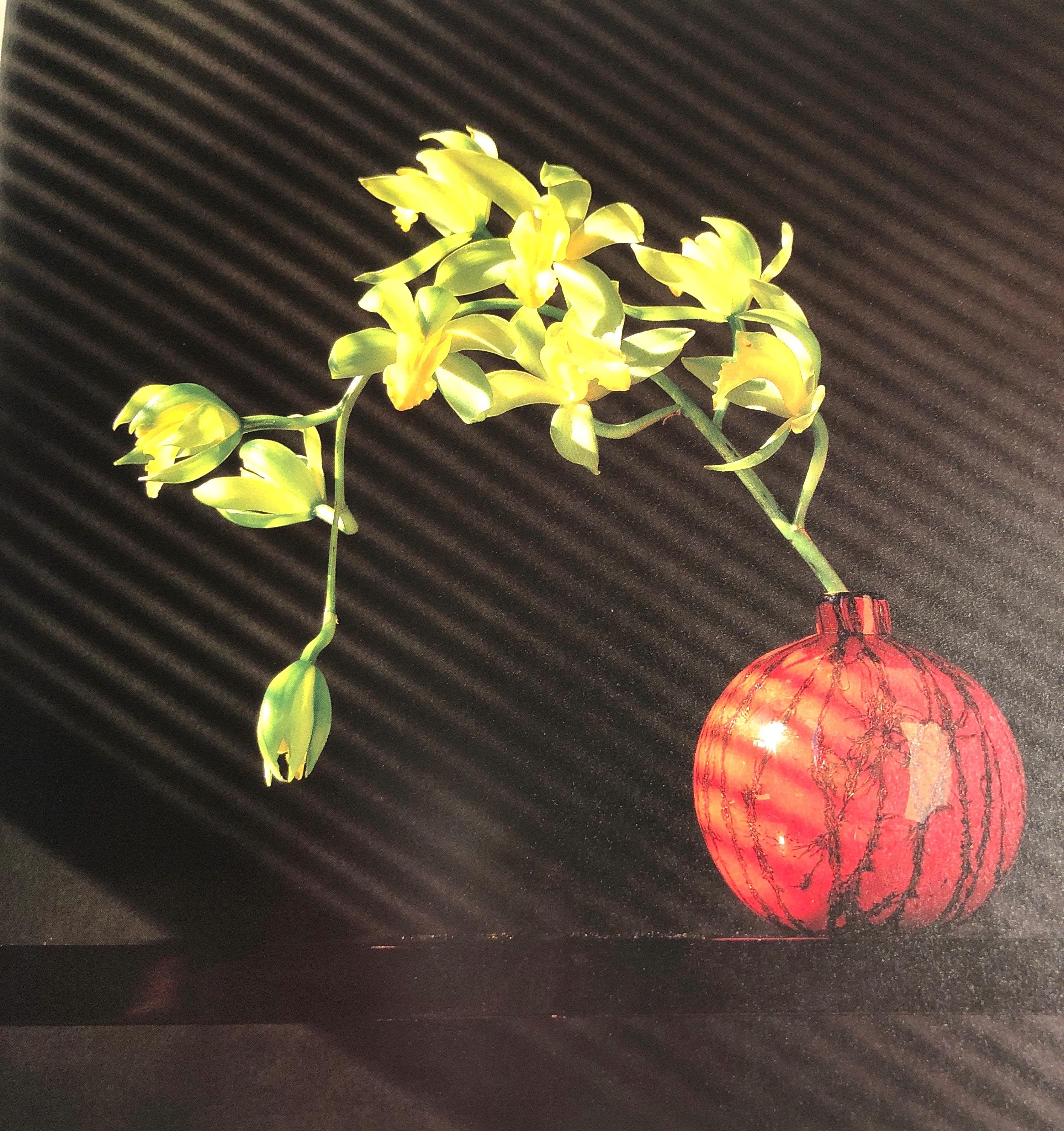 Robert mapplethorpe flowers - Etsy 日本