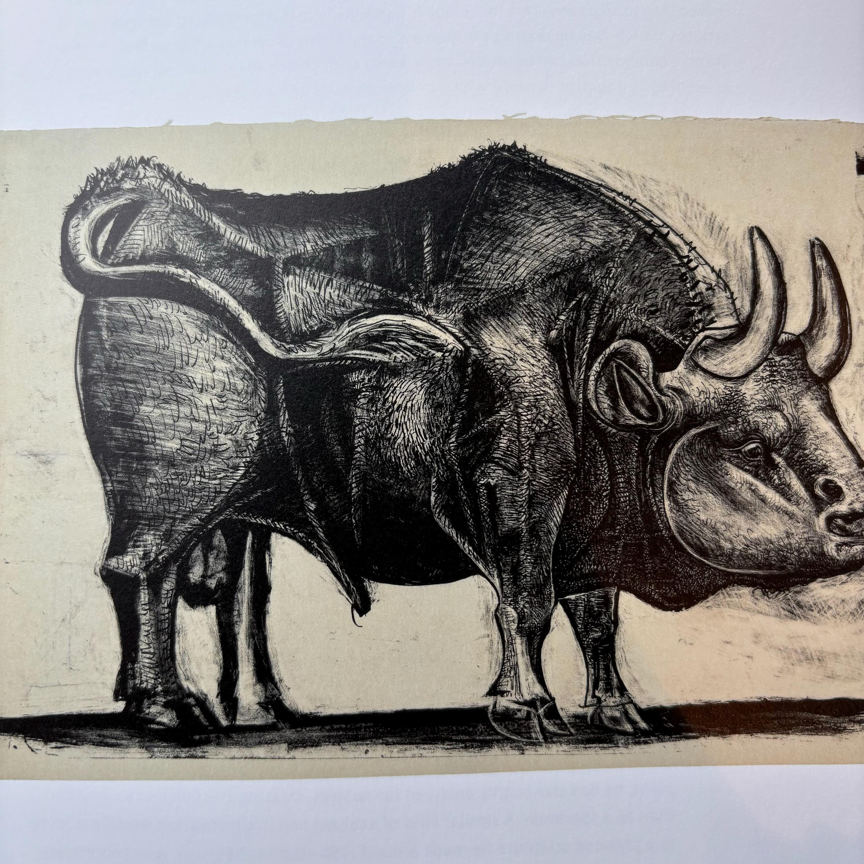 Picasso Bull, State IV | Original Published Lithograph | From a 