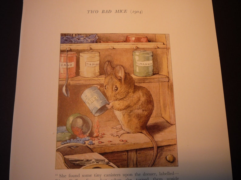 Beatrix Potter Mouse In The Kitchen Matted Animal Print Etsy