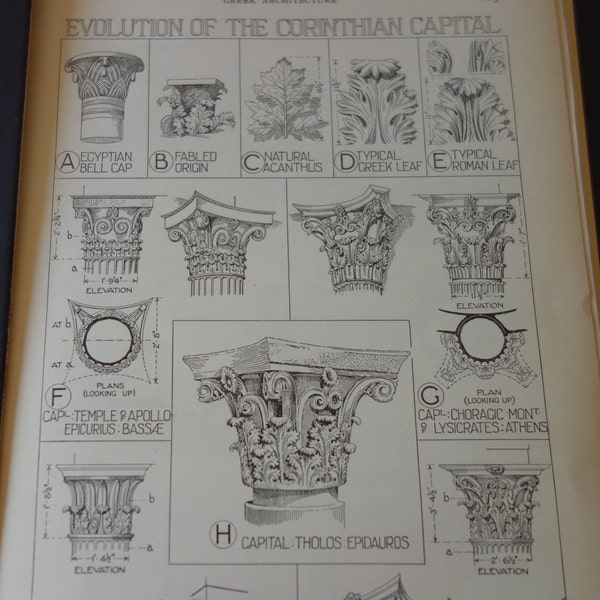 Corinthian Capitale Greco Tempio Architettura - 1924 litografia - Ottimo per inquadratura - regalo per l'architetto viaggiatore archeologo