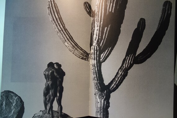 Herb Ritts Male Forms in the Desert 20th Century Photography Large