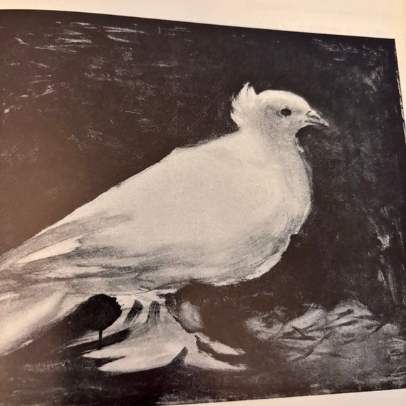 ピカソ作「鳩」｜1969年初版リトグラフ｜書籍の挿絵｜ギフトにも最適