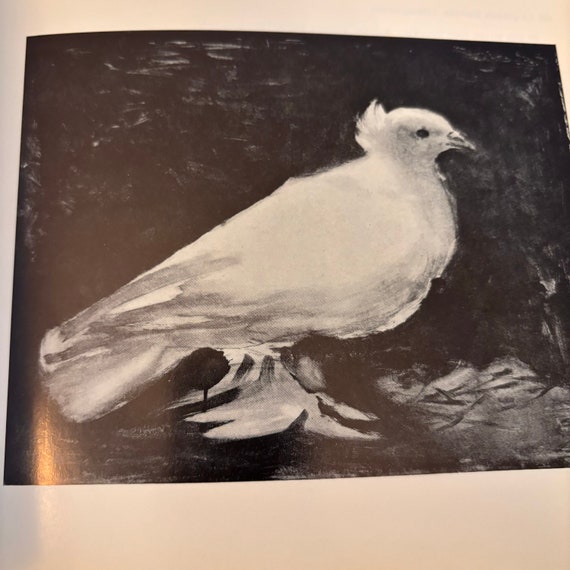 ピカソ作「鳩」1969年初版リトグラフ ピカソ作「鳩」｜1969年初版リトグラフ｜書籍の挿絵｜ギフトにも最適