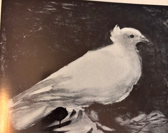 ピカソ作「鳩」｜1969年初版リトグラフ｜書籍の挿絵｜ギフトにも最適