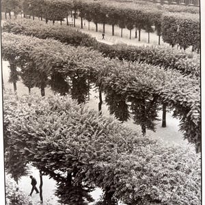 Henri Cartier-Bresson | Palais Royal Gardens Paris, 1959 | Black and White | Vintage Published Lithograph | Ready to Frame | Wall Art