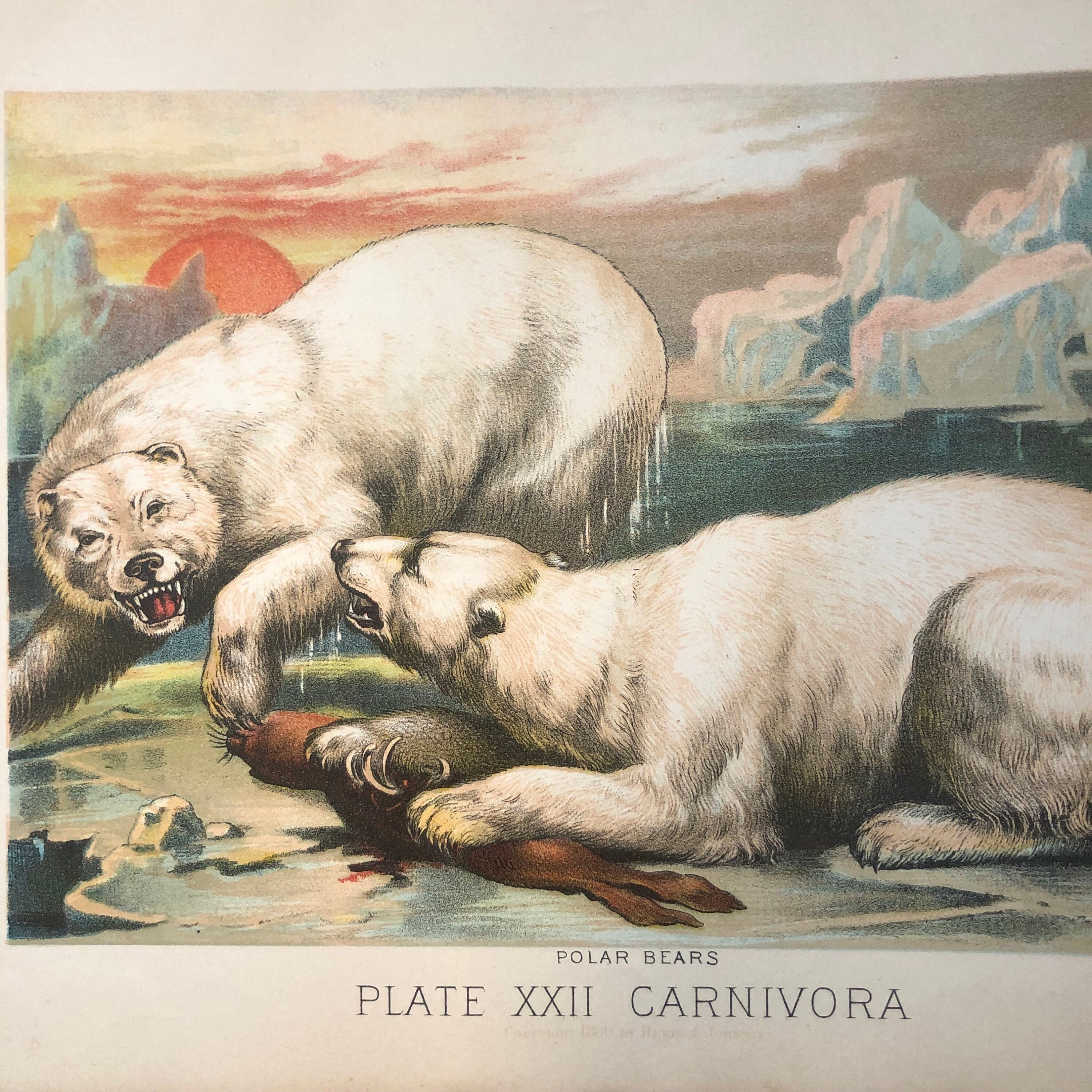 【ロシア ソ連切手】1987 USSR WWF Polar Bearシート ロシア ソ連切手】1987 USSR WWF Polar Bearシート ロシア ソ連切手