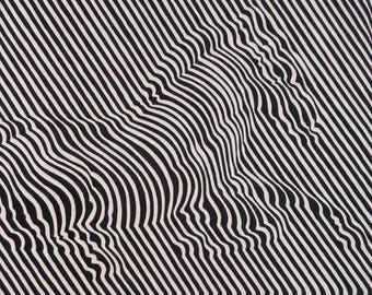 Victor Vasarely, Zebre | Vintage Publizierte Lithographie | Op-Art | Moderne Wandkunst