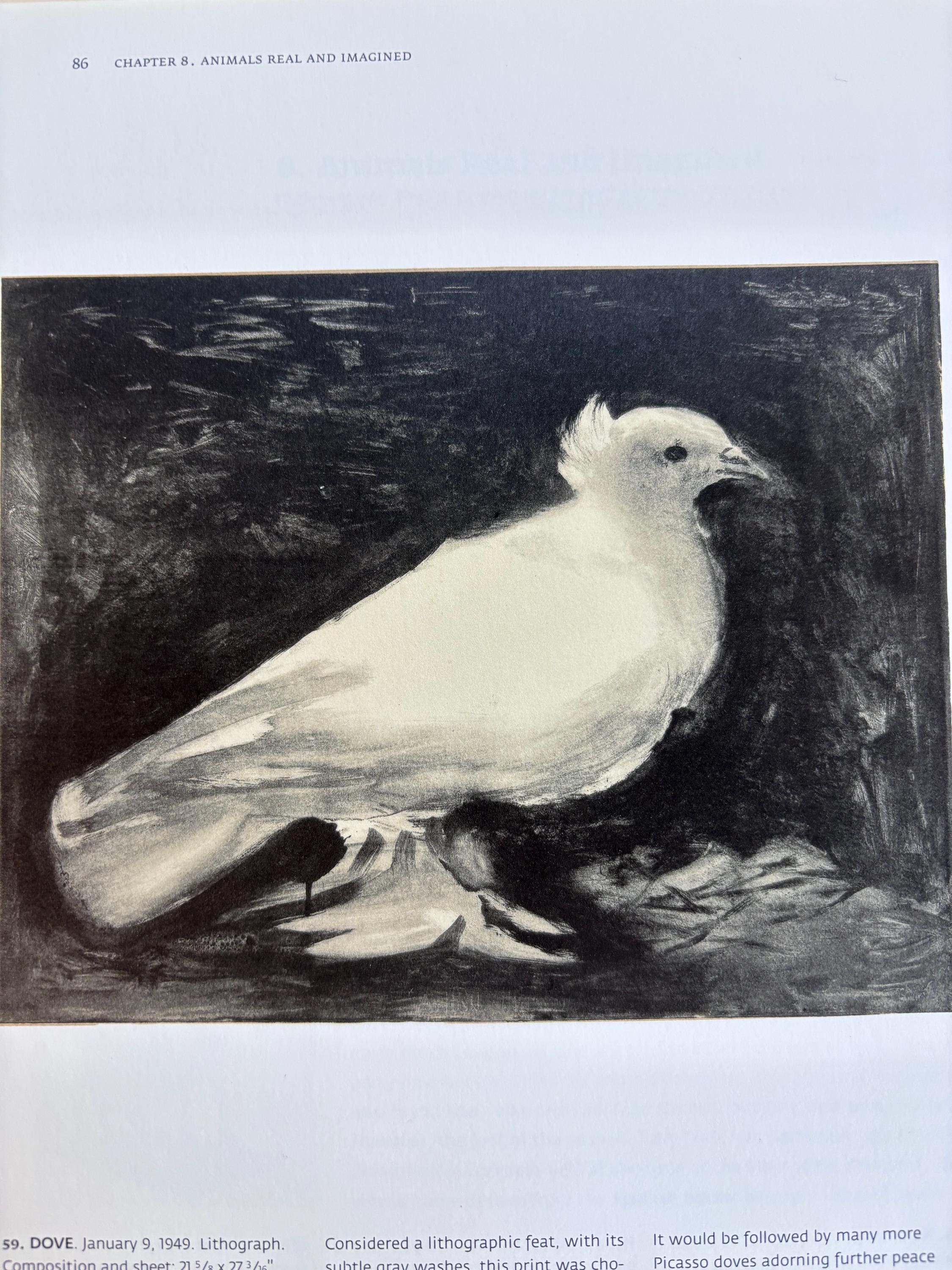 ピカソ作「鳩」｜1969年初版リトグラフ｜書籍の挿絵｜ギフトにも最適